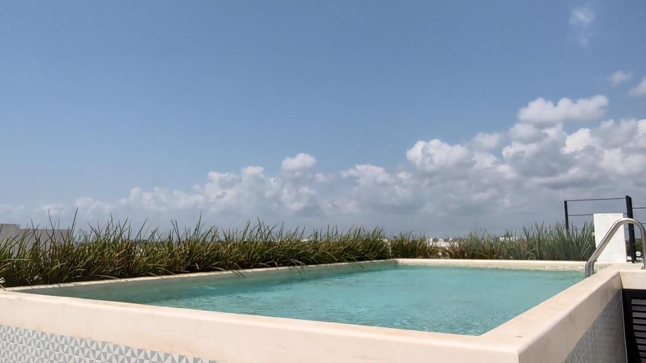 Apartamento Amaite Living *
